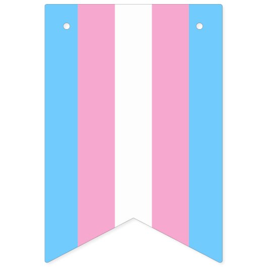 Bannière Drapeau Transgenre Parti LGBT (Troisième drapeau)