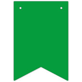 Bannière du drapeau brésilien Verde e Amarelo (Premier drapeau)