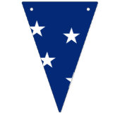 Bannière du drapeau du Brésil (Troisième drapeau)