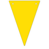 Bannière du drapeau du Brésil (Deuxième drapeau)