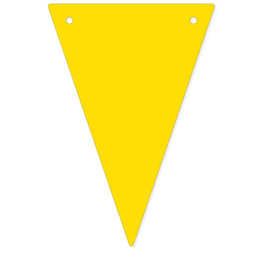 Bannière du drapeau du Brésil (Deuxième drapeau)