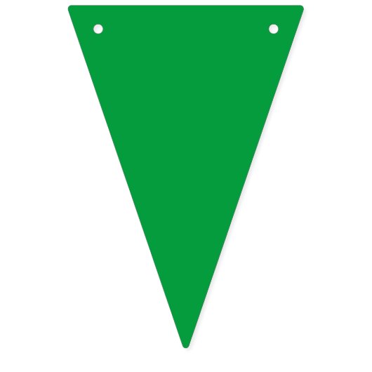 Bannière du drapeau du Brésil (Premier drapeau)