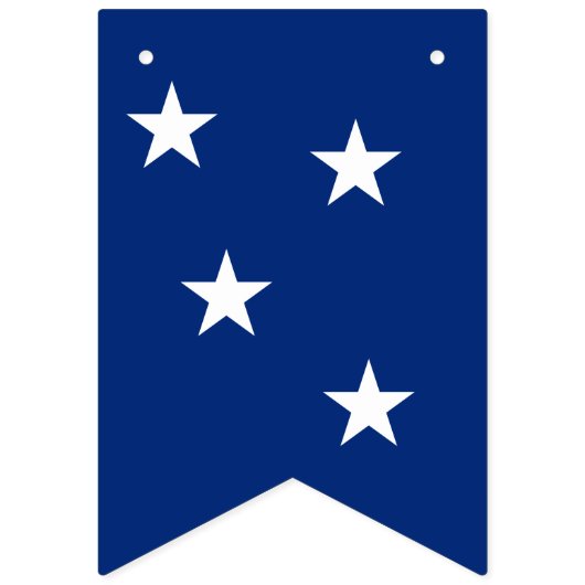 Bannière du drapeau du Brésil (Troisième drapeau)