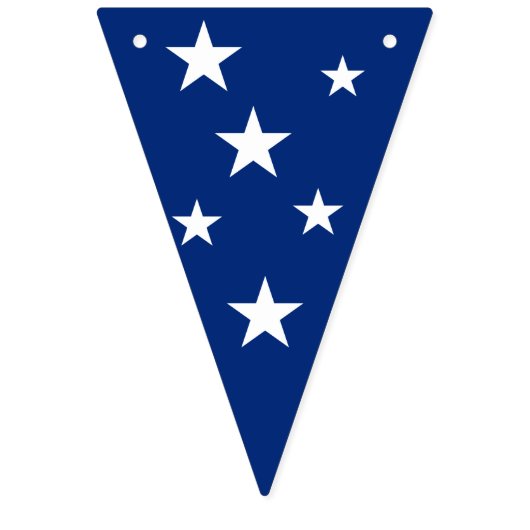 Bannière du drapeau du Brésil (Troisième drapeau)