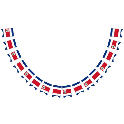 Bannière du drapeau du Costa Rica (Tout)
