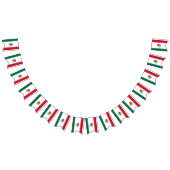 Bannière du drapeau mexicain (Tout)