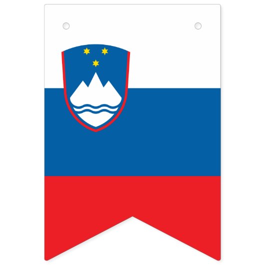 Bannière du drapeau slovène (Premier drapeau)