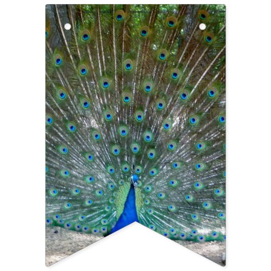 Bannière du Peacock Design Party (Deuxième drapeau)