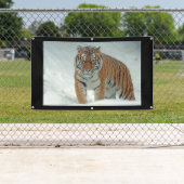 Bannière du TIGER EN COLÈRE (En situation)