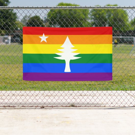 Bannière extérieure du Maine Flag 1901 - Édition A (En situation)