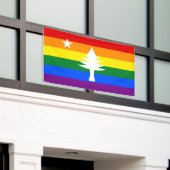 Bannière extérieure du Maine Flag 1901 - Édition A (Bâtiment extérieur)