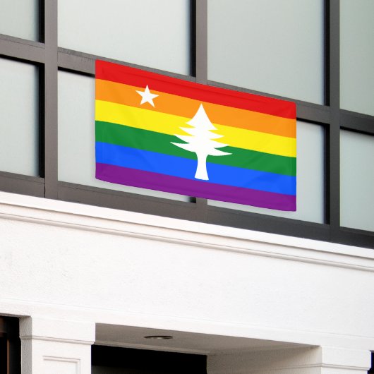 Bannière extérieure du Maine Flag 1901 - Édition A (Bâtiment extérieur)