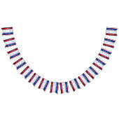 Bannière faite sur commande d'élection (Tout)