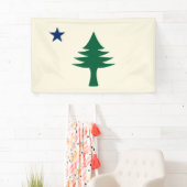 Bannière intérieure du drapeau du Maine 1901 (En situation)