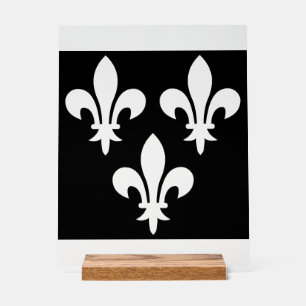 Bannière médiévale de France