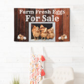 Bannière OEufs Fraîches À Vendre (En situation)