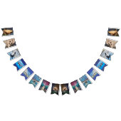 Bannière Orca Bunting (Tout)