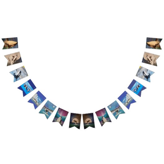 Bannière Orca Bunting (Tout)