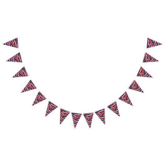 Bannière patriotique drapeaux (Tout)