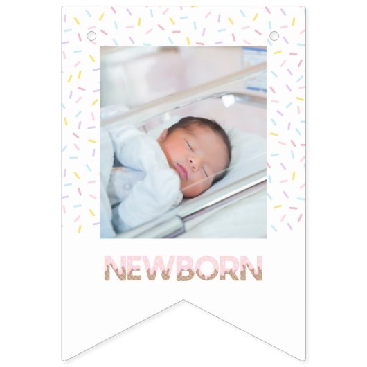 Bannière photo Sweet One Ice Cream First Birthday (Deuxième drapeau)