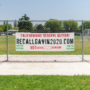 Bannière Recallgavin2020 de 2,5 x 8 pi