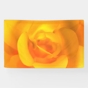 Bannière Rose enchaînée