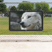 Bannière WOLF (En situation)