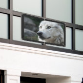 Bannière WOLF (Bâtiment extérieur)