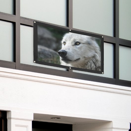 Bannière WOLF (Bâtiment extérieur)