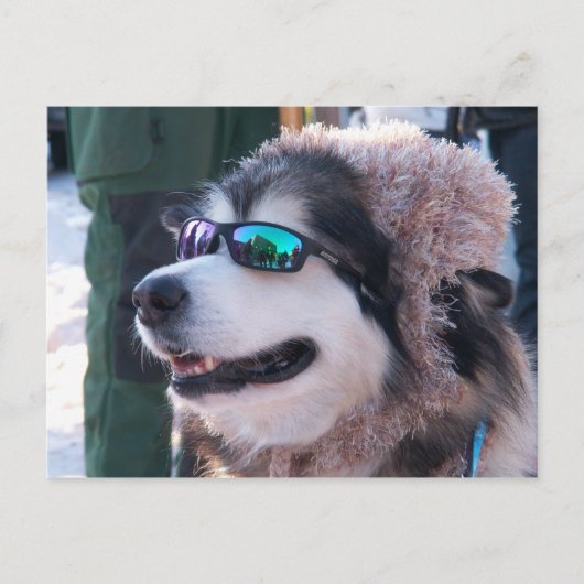 Banshee Briefkaart (Voorkant)