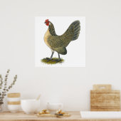 Bantam: Blue Quail Hen Poster (Keuken)