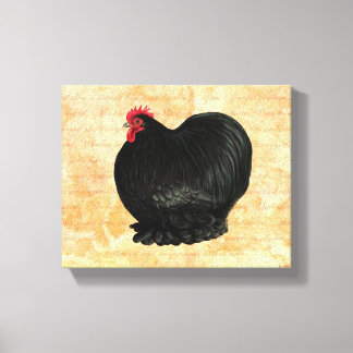 Bantam Cochin Rooster Canvas Afdruk