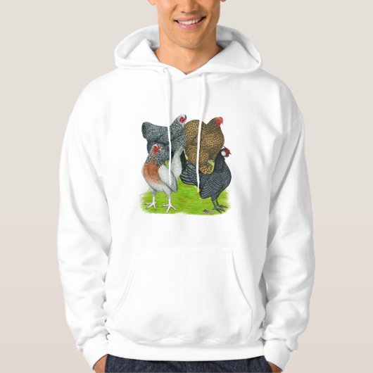 Bantam Hen Quartet Hoodie (Voorkant)
