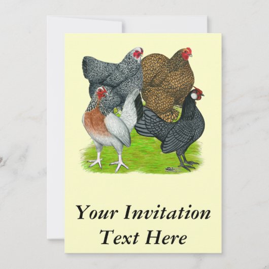 Bantam Hen Quartet Kaart (Voorkant)