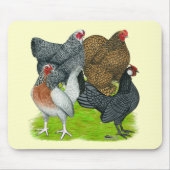 Bantam Hen Quartet Muismat (Voorkant)