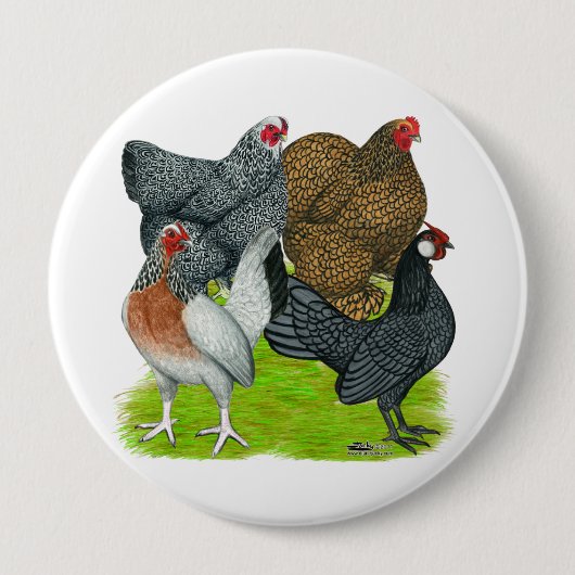 Bantam Hen Quartet Ronde Button 4,0 Cm (Voorkant)