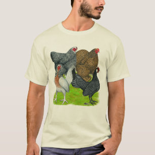 Bantam Hen Quartet T-shirt