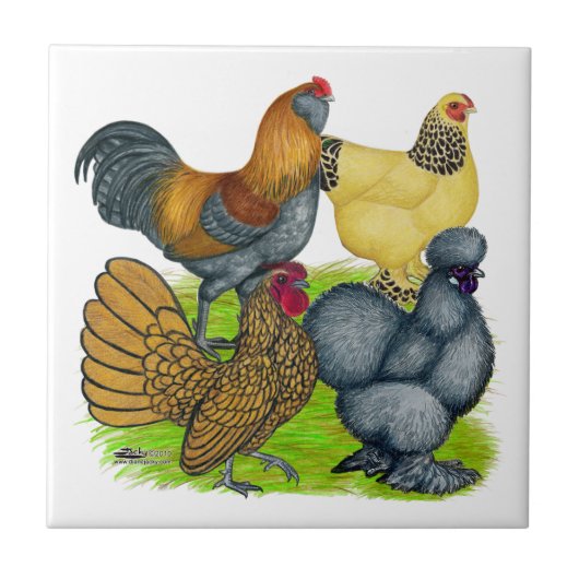 Bantam Quartet Tegeltje (Voorkant)