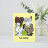 Bantams Feather Legged Briefkaart (Staand voorkant)