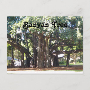 Banyan Tree Briefkaart