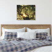 Banyan Tree Canopy Sunstar Canvas Afdruk (Insitu (Slaapkamer))