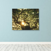 Banyan Tree Canopy Sunstar Canvas Afdruk (Insitu (Houten vloer))