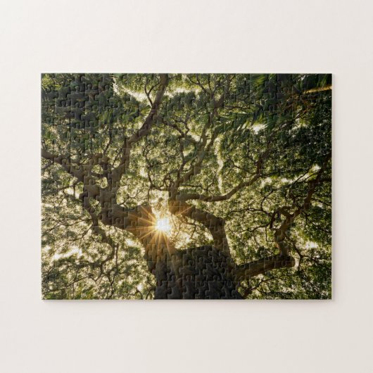 Banyan Tree Canopy Sunstar Legpuzzel (Horizontaal)