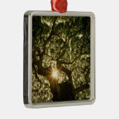 Banyan Tree Canopy Sunstar Metalen Ornament (Rechts)