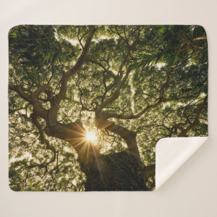 Banyan Tree Canopy Sunstar Sherpa Deken