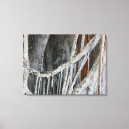 Banyan Tree close-up foto Canvas Afdruk