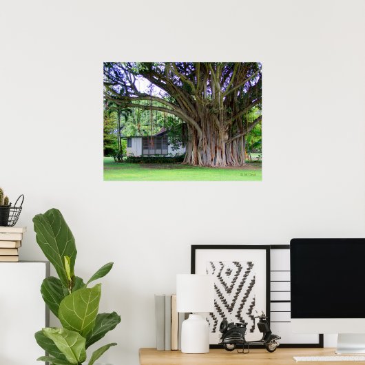 Banyan Tree Cottage Poster (Thuiskantoor)