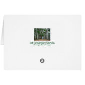 Banyan Tree Edison & Ford Estate Ft Myers Florida (Achterkant Horizontaal)