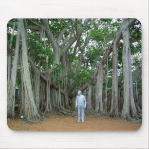 Banyan Tree Edison & Ford Estate Ft Myers Florida Muismat