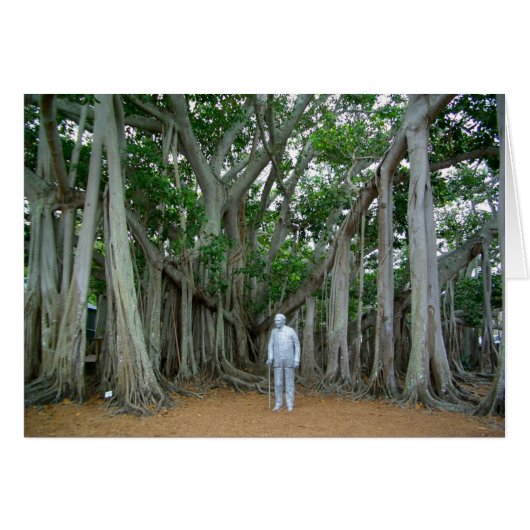 Banyan Tree Edison & Ford Estate Ft Myers Floride (Devant Horizontal)